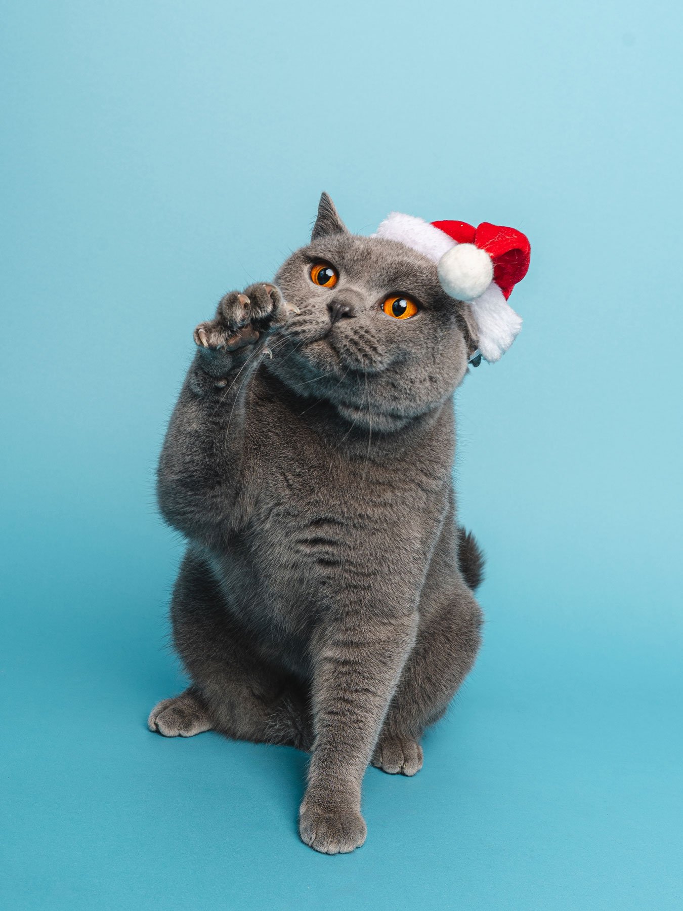 Bristol 2025 ©Best Friend Photography