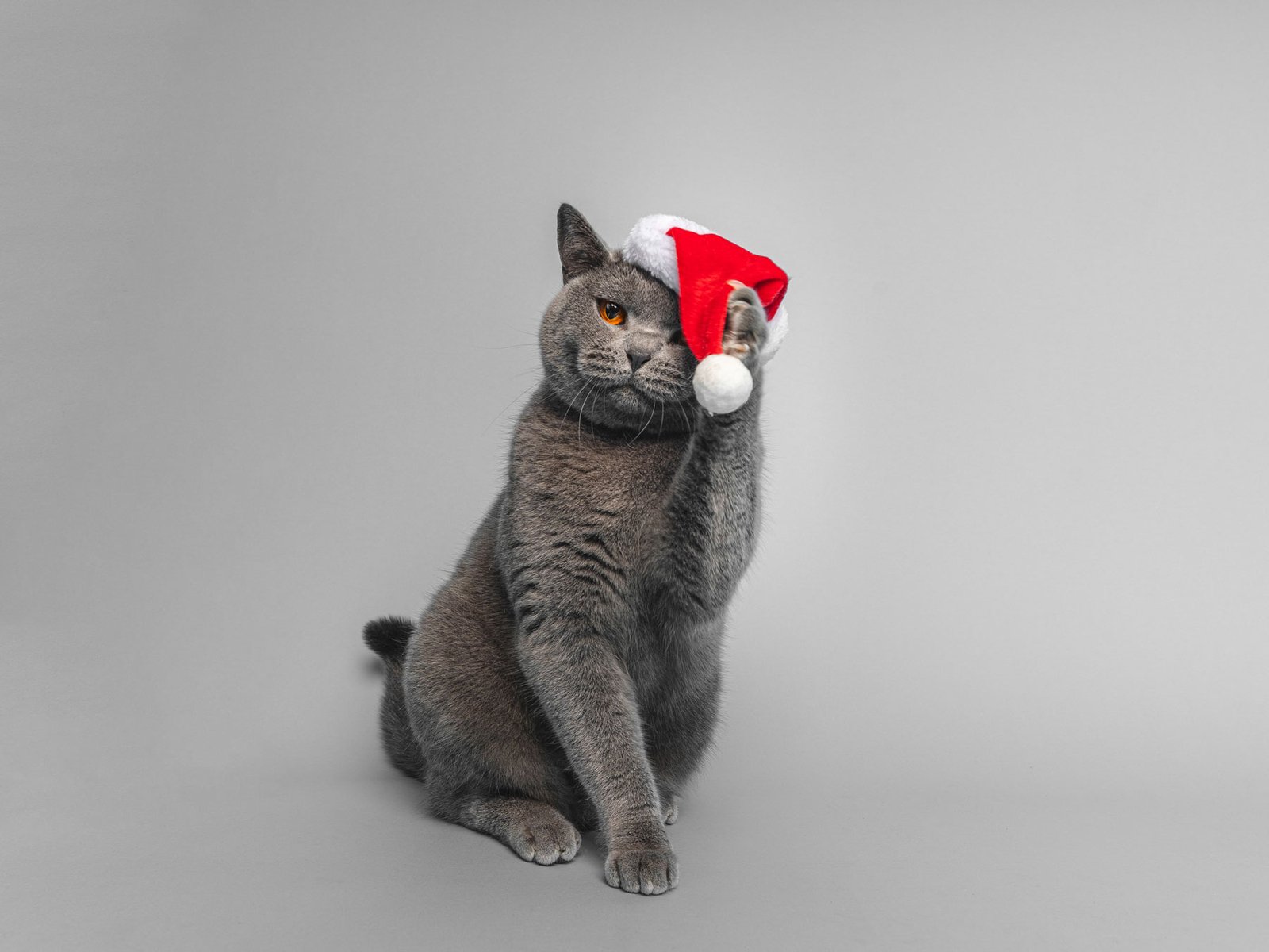 Bristol 2025 ©Best Friend Photography