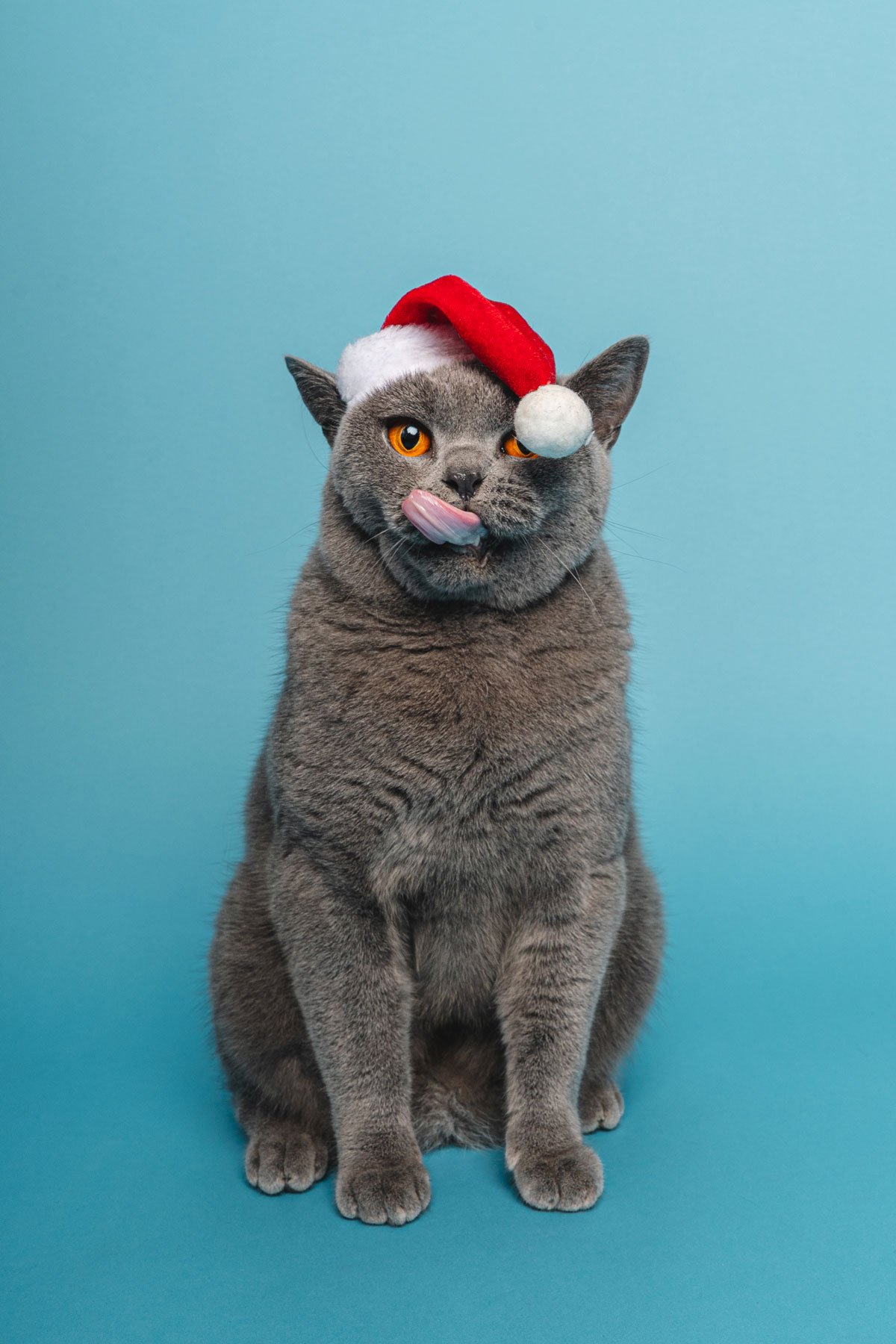 Bristol 2025 ©Best Friend Photography