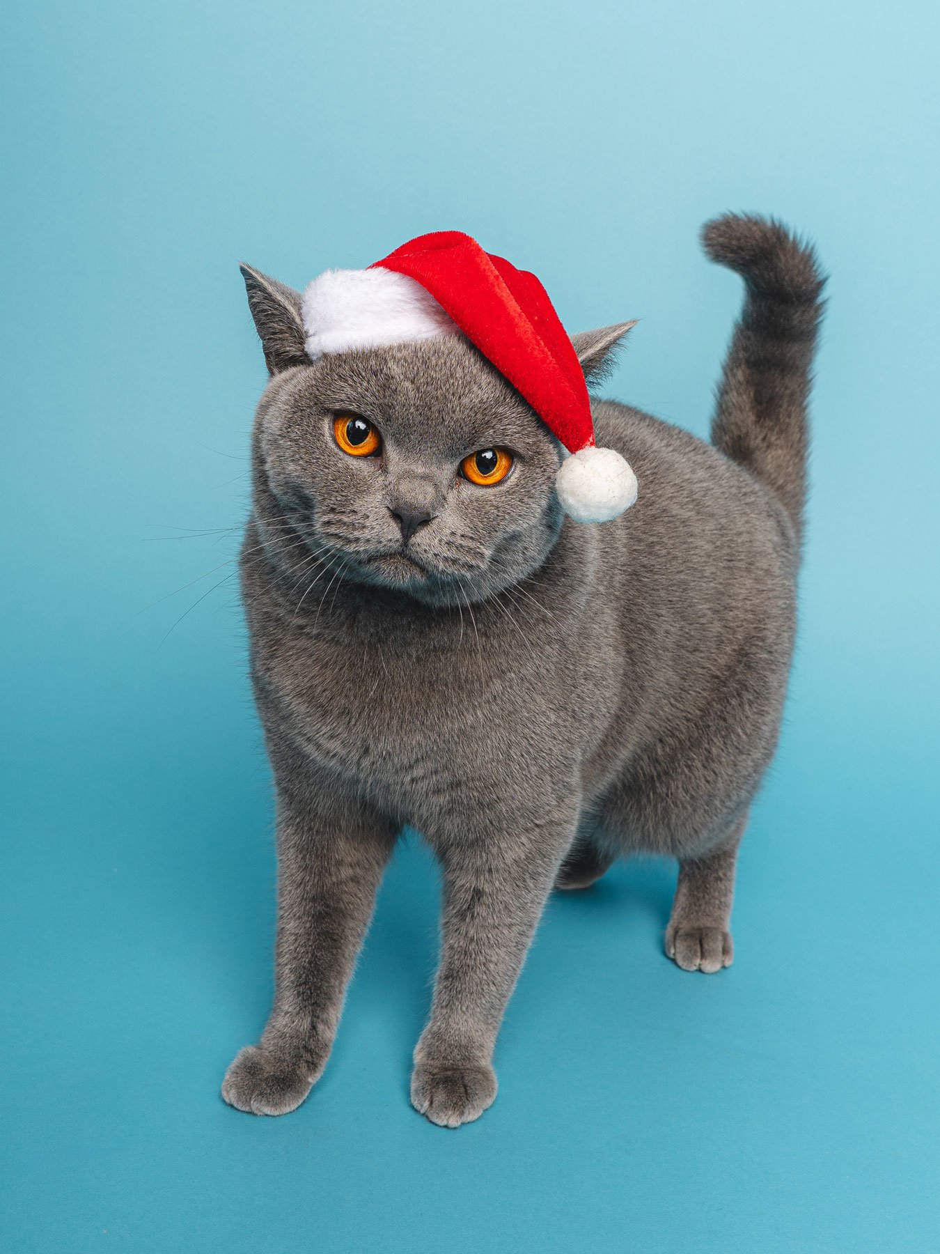 Bristol 2025 ©Best Friend Photography