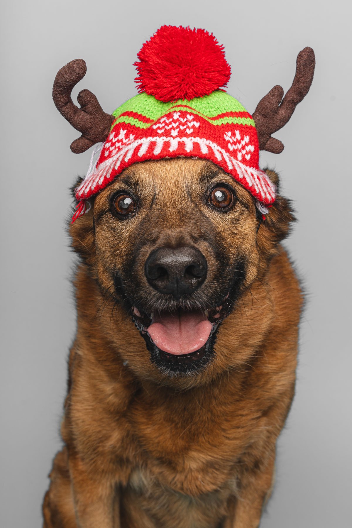 Bristol 2025 ©Best Friend Photography