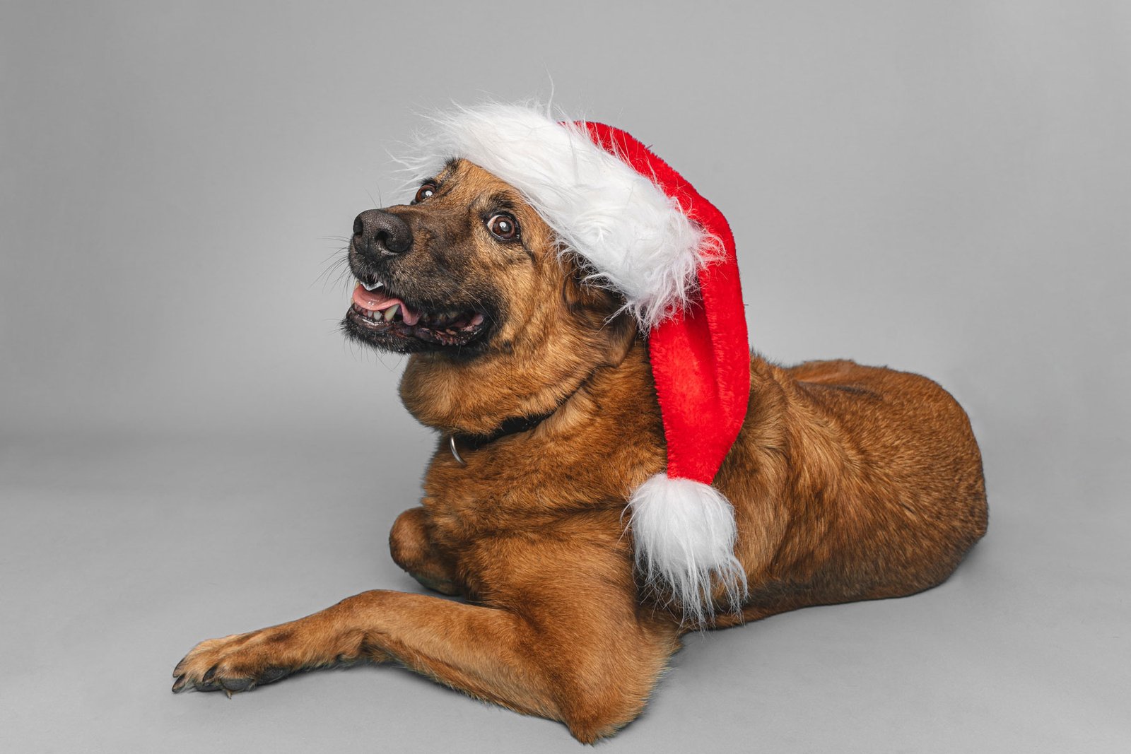 Bristol 2025 ©Best Friend Photography