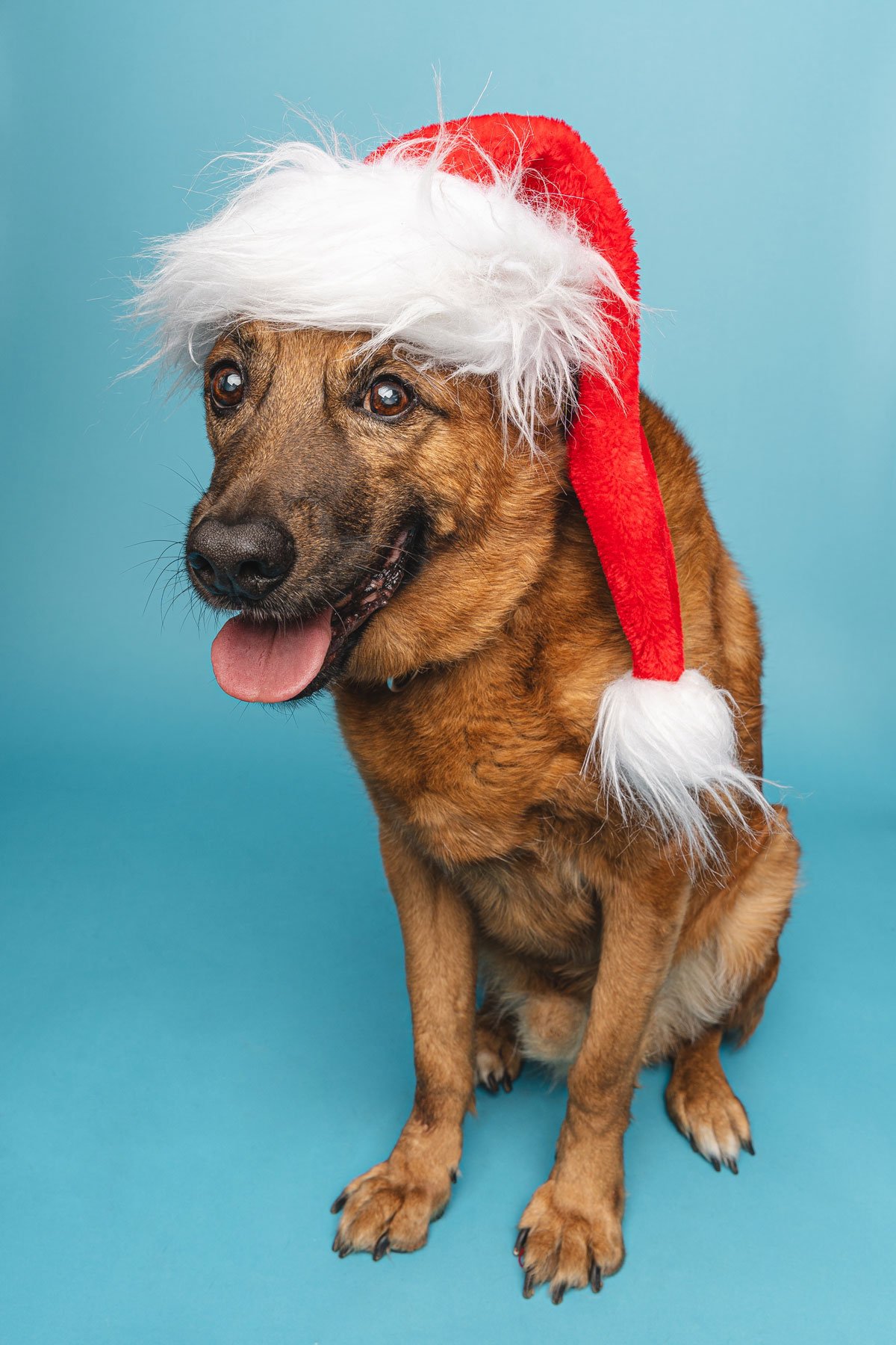 Bristol 2025 ©Best Friend Photography