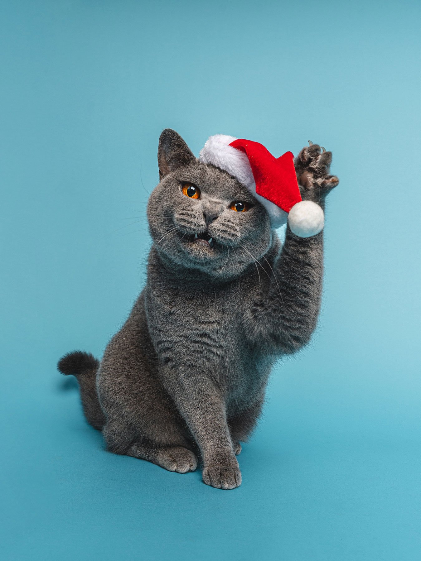 Bristol 2025 ©Best Friend Photography